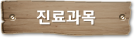 진료과목
